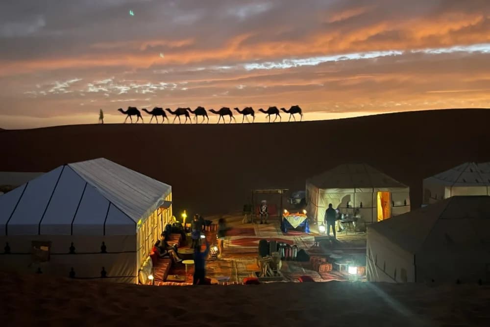 Luxury Bivouac Merzouga – Private Bathroom + Camel Ride + Dinner & Show + Breakfast + Return (Camel & 4x4)