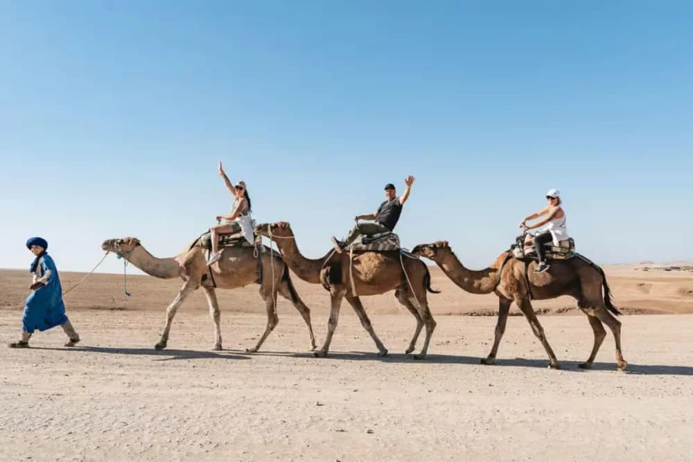 Kamelritt in Agafay – Teepause + Fotostopp (45 Min. Fahrt) - 3