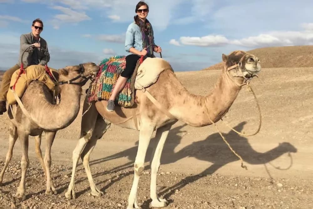 Kamelritt in Agafay – Teepause + Fotostopp (45 Min. Fahrt) - 4