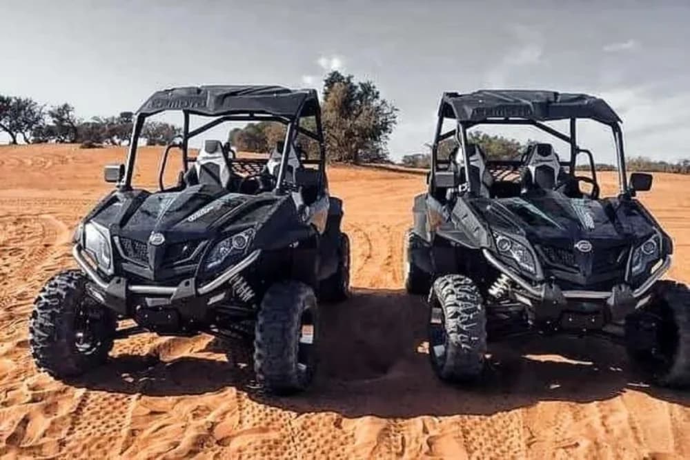 Takkat Buggy Tour (2 Stunden) – Teepause + Fotostopp - 5