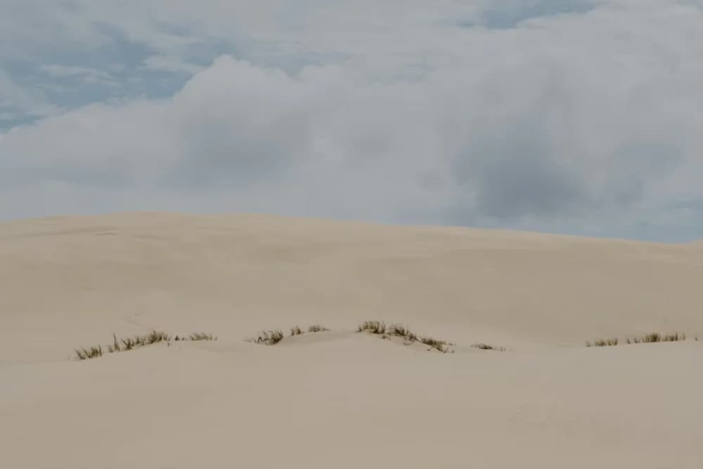 Excursión al Atardecer en las Dunas de Timlaline (16:00) – Ruta Cañón Cueva + Guía - 4