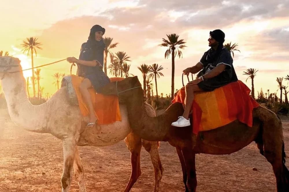 Paseo en Camello por Taghazout – 1 Hora - 5