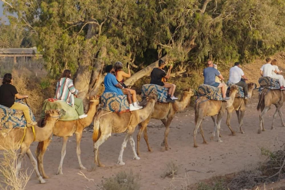 Experiencia de Camello en Tarrast – 2 Horas + Barbacoa + Té y Música + Traslado - 1