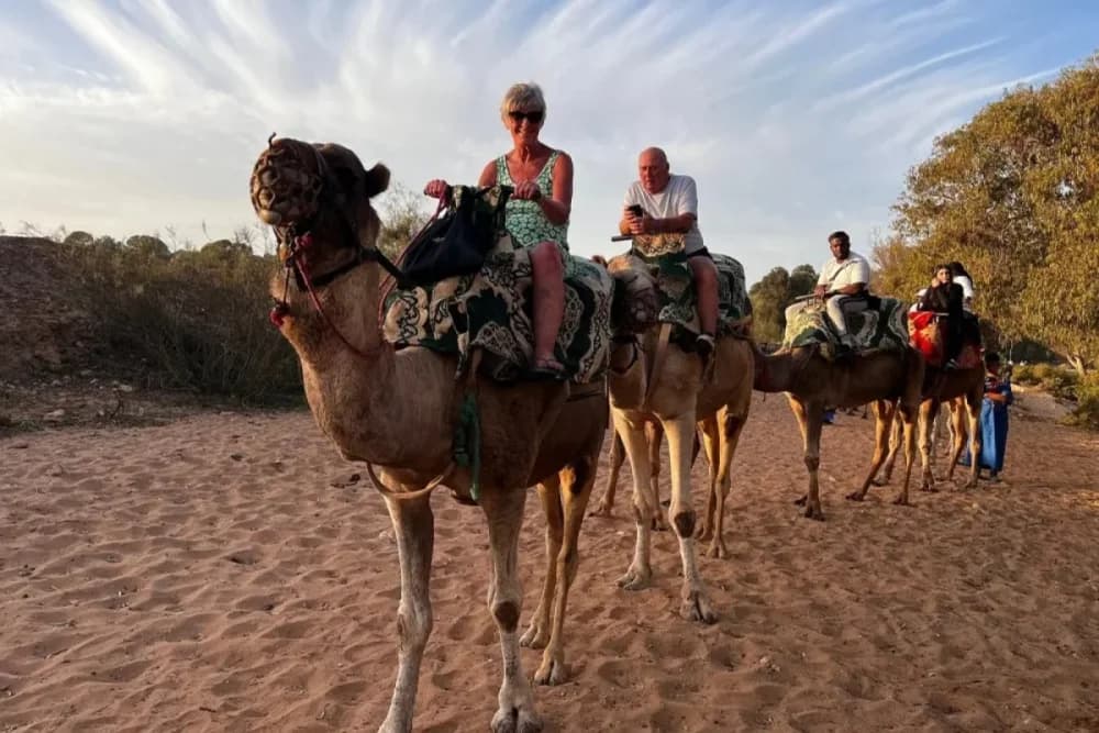Experiencia de Camello en Tarrast – 2 Horas + Barbacoa + Té y Música + Traslado - 2