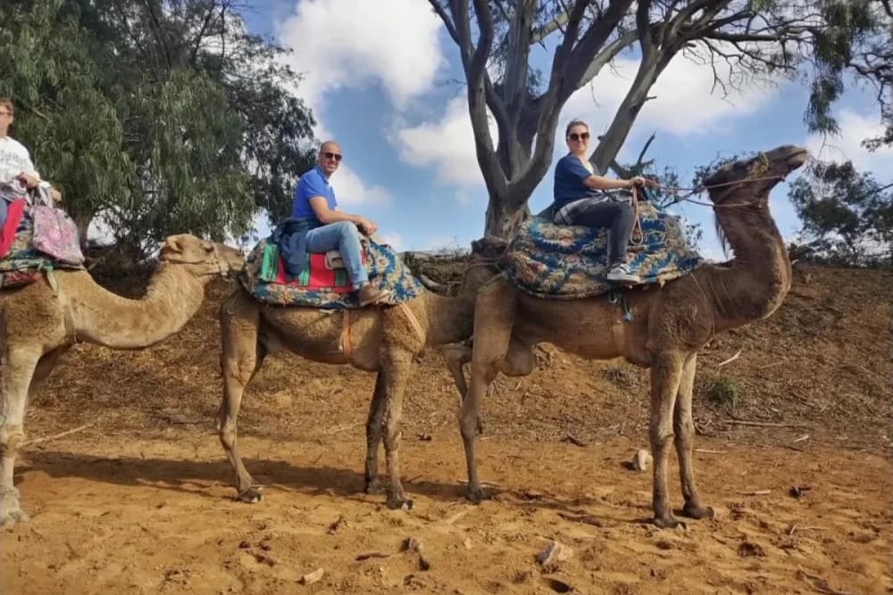 Experiencia de Camello en Tarrast – 2 Horas + Barbacoa + Té y Música + Traslado