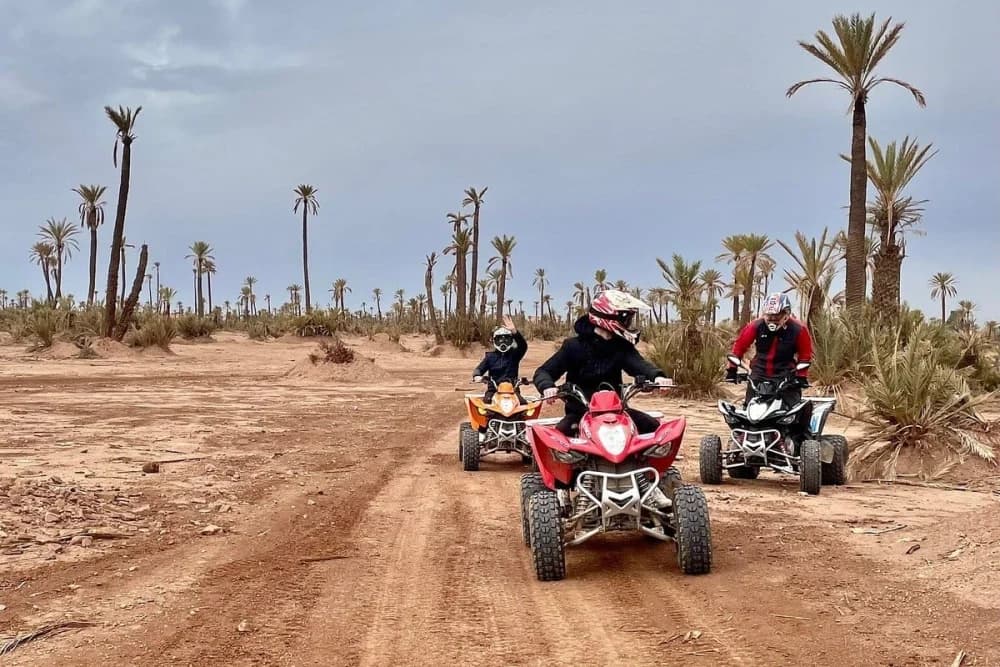 Marrakech Palmeraie Quad + Kamelritt – 2 Stunden - 2