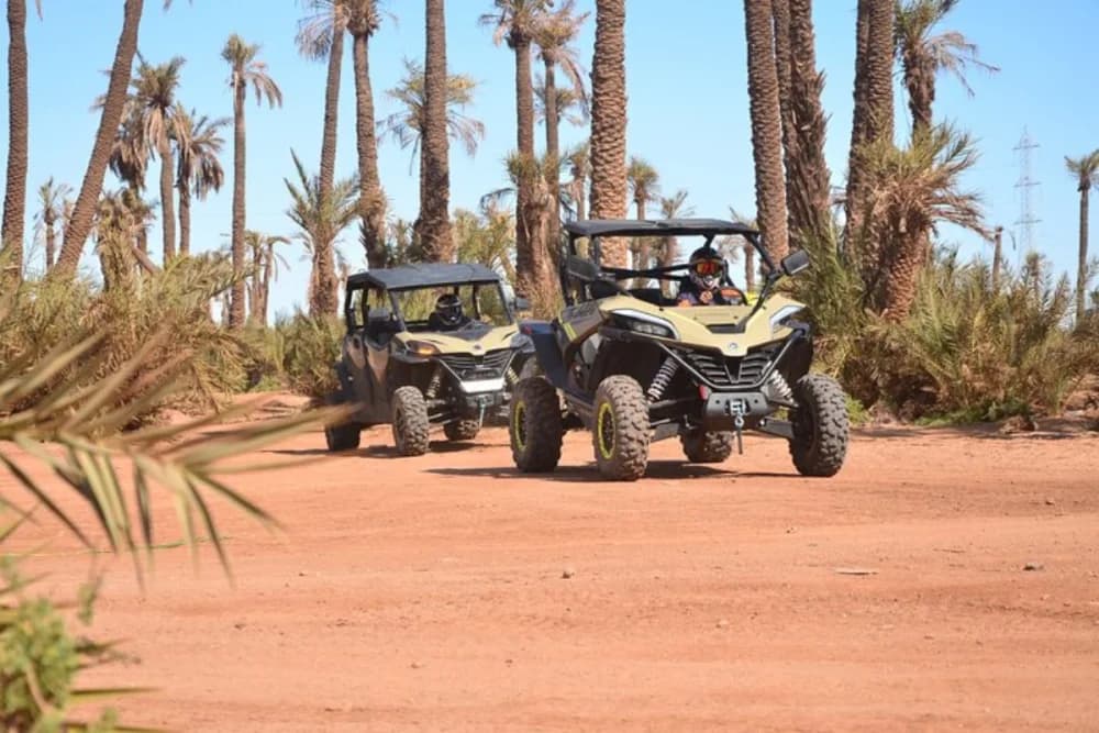 Tour in Buggy nella Palmeraie di Marrakech – 1h o 2h | 2–4 Posti - 3