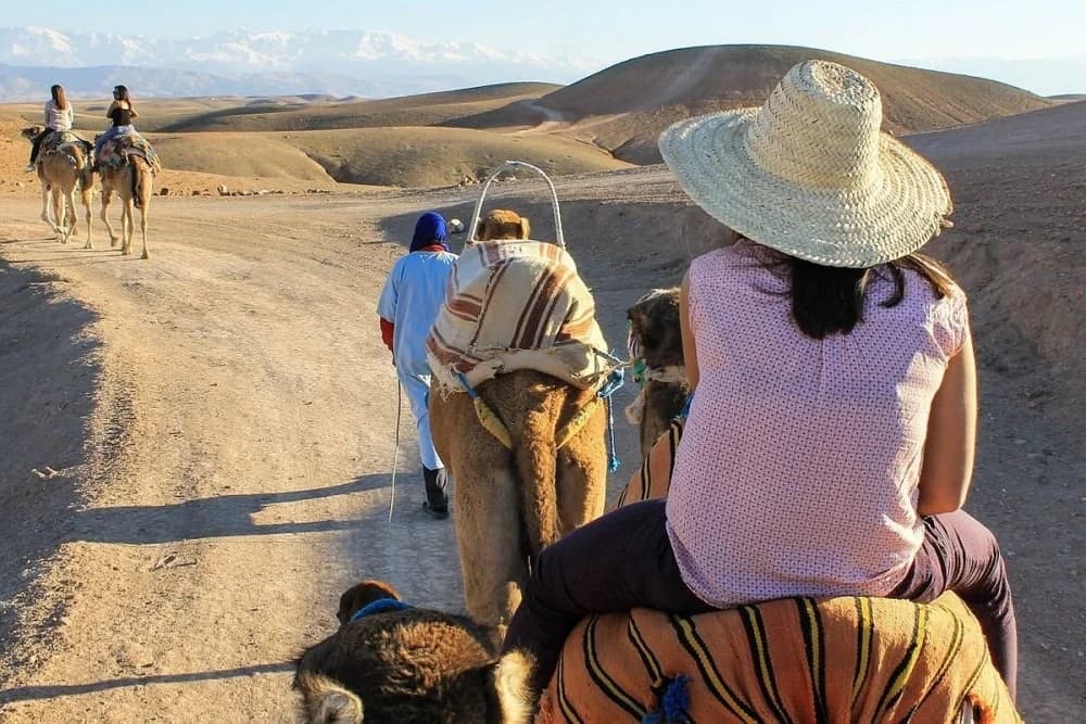 Agafay Desert Camel Ride – 1 Hour - 2