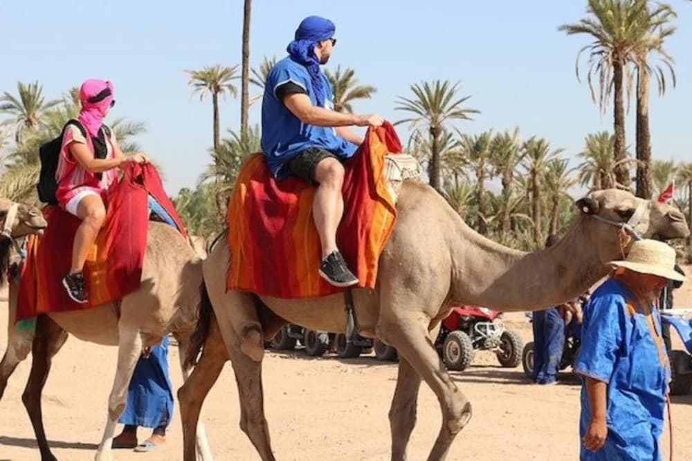 Camel Ride in Marrakech Palmeraie – 1-Hour Tour with Tea & Photos - 1