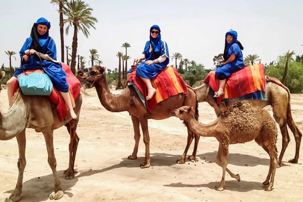 Marrakech Palmeraie Camel Ride – 1 Hour