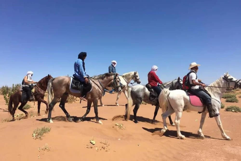 Oulad Tayeb (Fes) Horse Riding – 30 Min, 1 Hour or 3 Hours - 3